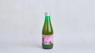 Kombucha Share Love Wild Rose