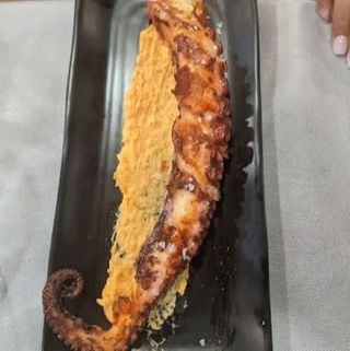 Pulpo