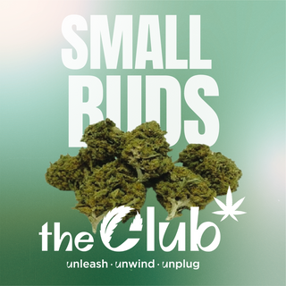 Small Buds 10g
