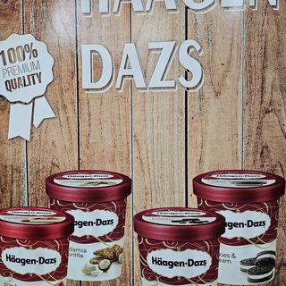 Haagen Dazs (460 Ml.)