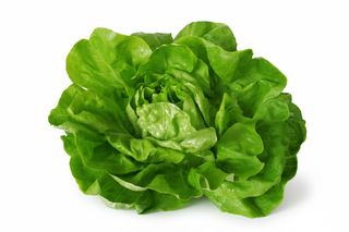 Lattuga - 1 pezzo