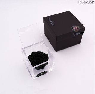 FlowerCube Rosa Preservada Preto
