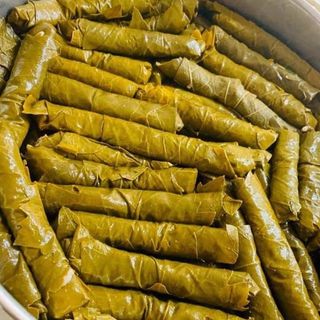 ვაზის ტოლმა