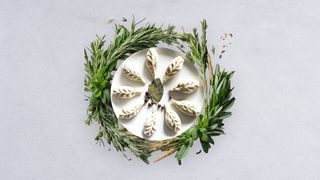 Pierogi z dzikiem i cytrynami