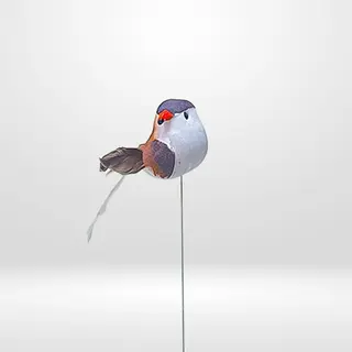 Pájaros