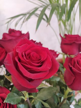 12 Rose rosse con verde decorativo