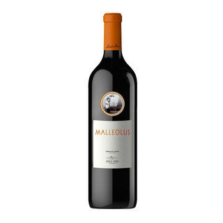 Malleolus De Emilio Moro