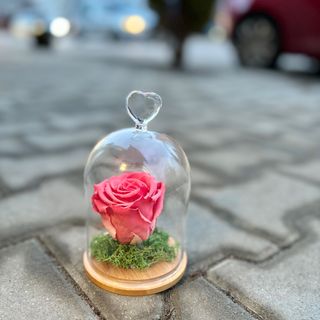 Вечна роза в стъкленица