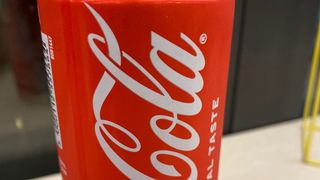 Coca-Cola Lattina 330 ml