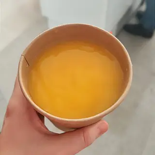 Smoothie De Mango 