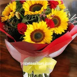 Bouquet 6 rose rosse & 5 girasoli