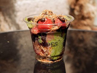 Полуниця "Дубайський шоколад" mini