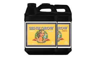 PH Perfect Sensi Grow Part A&B 500 მლ ძირითადი სასუქი