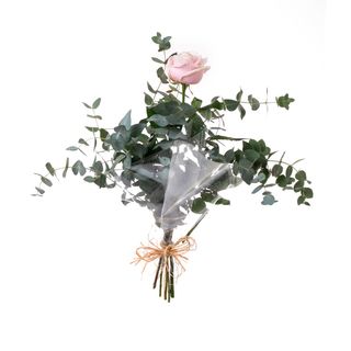 Rosa Rosa Unidad Con Verdes