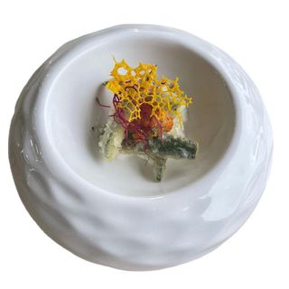 314 Zucca fusion