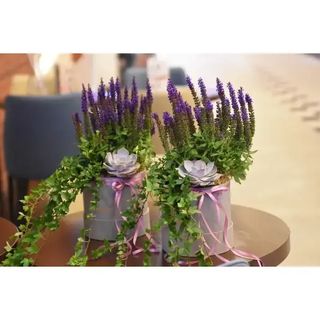 Flowerbox z kwiatów doniczkowych