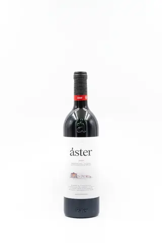 Áster 2019