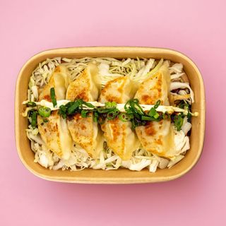 18 - OKO Gyoza di verdure 4pz.