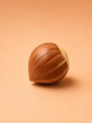Nocciola