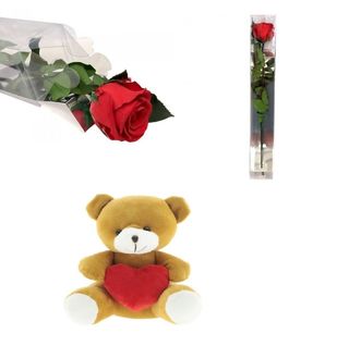 Rosa Roja Eterna Grande Con Peluche Corazón