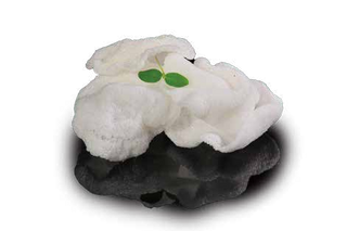 33 Nuvolette di gamberi