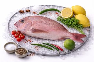 Dorada roșie 8/1 Grecia ~900g brut / 1 bucată