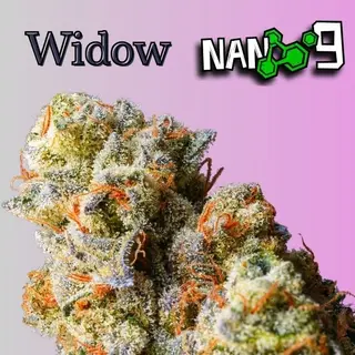 White Widow X Nano 9 Cbd Al 70% -1G