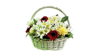 მინდვრის ზღაპარი