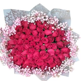 Pure Red + Gysopjilia