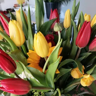 Ramo de 8Tulipane.