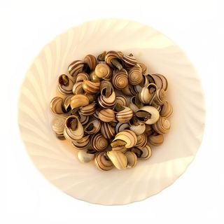 Caracoles
