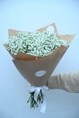 გიფსოფილის თაიგული