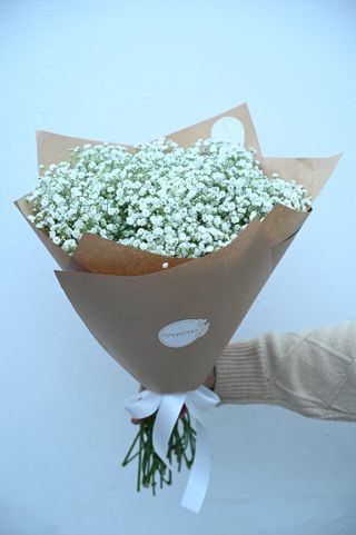 გიფსოფილის თაიგული