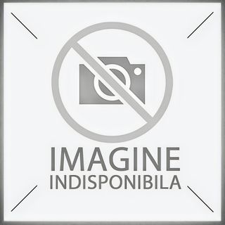 File de păstrăv prăjit - 380g