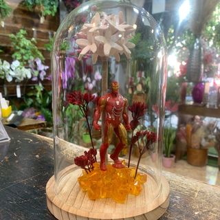 Cúpula con Biznaga y SúperHéroe "Rojo"