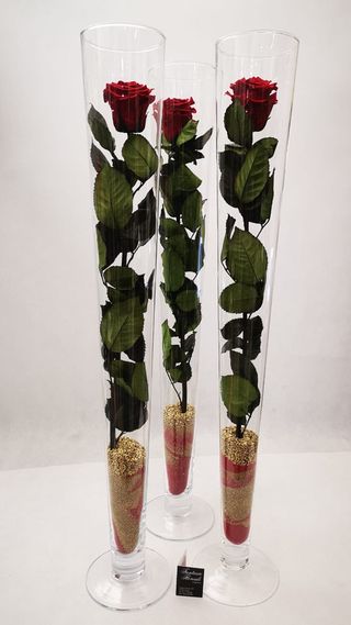 Cono di vetro con rosa stabilizzata