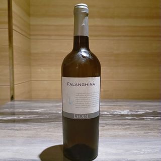 FALANGHINA 