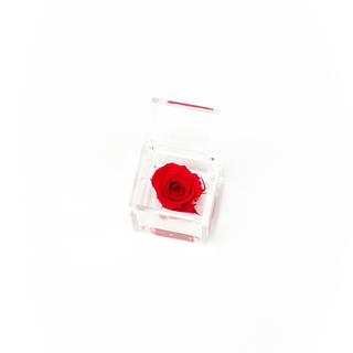 Mini Flowercube