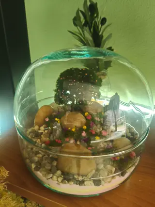 Terrarium Sfera Stabilizzato 