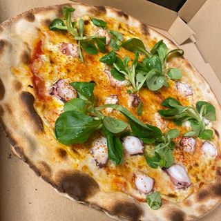 Pizza Gourmet Polipo