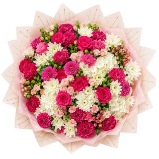 Blush Velvet Carnations