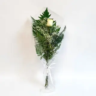 Una Rosa Blanca