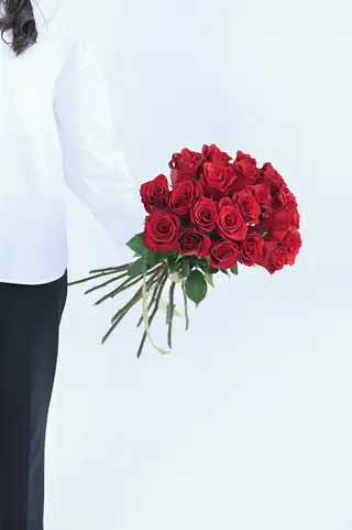 Red Roses ( 21 ) 