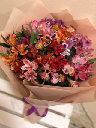 ფერადი ალსტრომერია