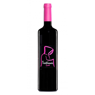 Teatinos Syrah