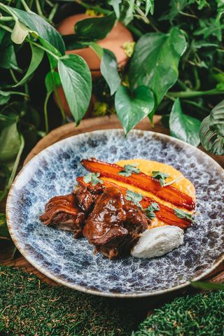 Ягненок с карамелизированной морковью и кремом на основе сузмо