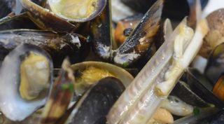 Soutè di frutti di mare