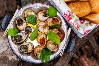 Ескарго-равлики мікс (12 шт.)