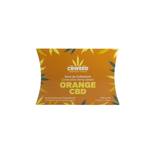 Orange Auto CBD - 1 semente