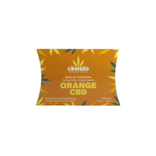Orange Auto CBD - 1 semente